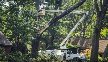 CT, NY recover from storms as power restoration continues