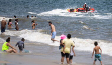 Swimmer bitten in suspected shark attack at New York City beach
