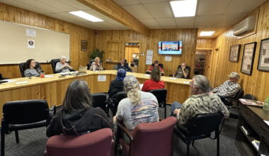 Manhattan Beach council interviews two candidates for vacant mayor seat - Pine and Lakes Echo Journal
