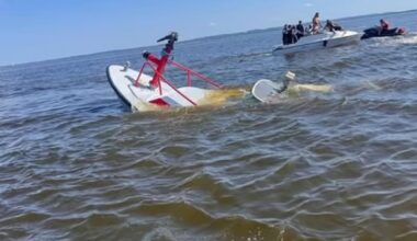 Whale hits fire boat in Carteret, NJ – NBC New York