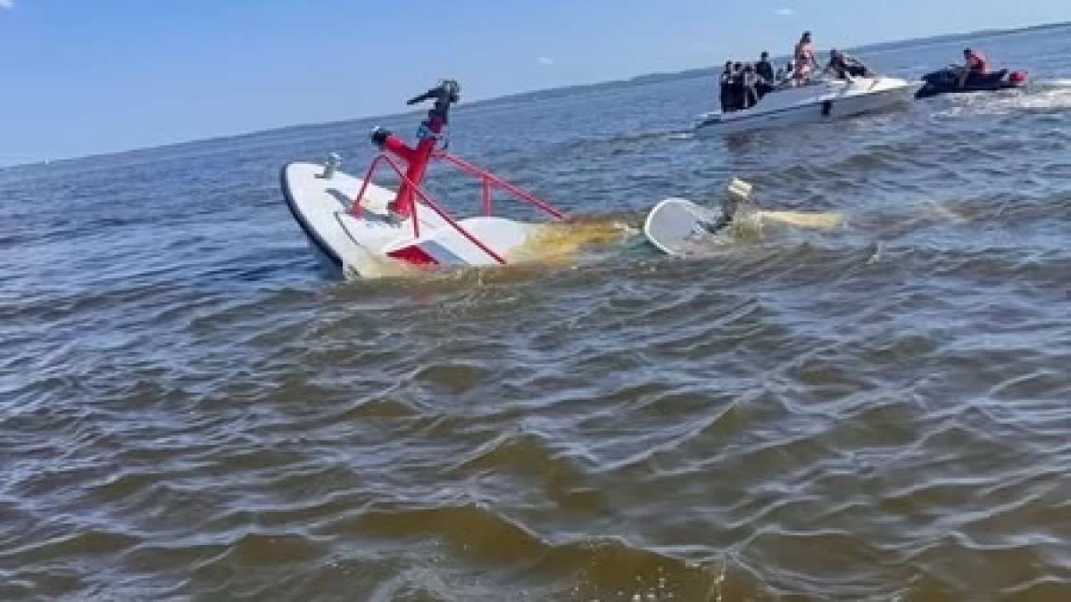 Whale hits fire boat in Carteret, NJ – NBC New York