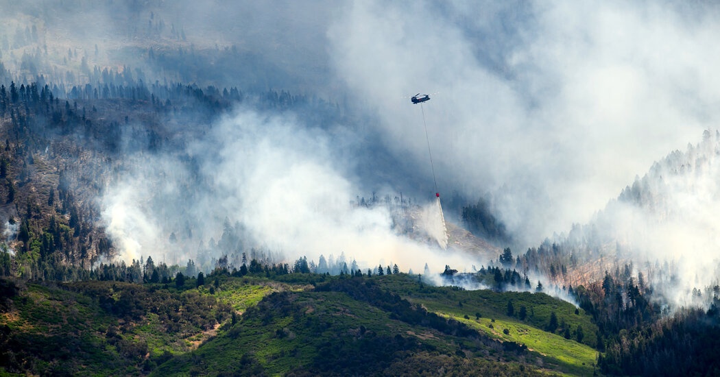 What to Know About Wildfires in Colorado and Other Western States