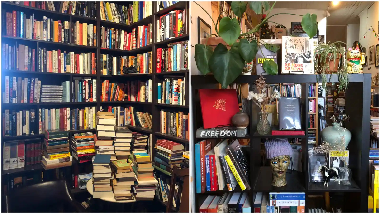 bookshelves at bookstore