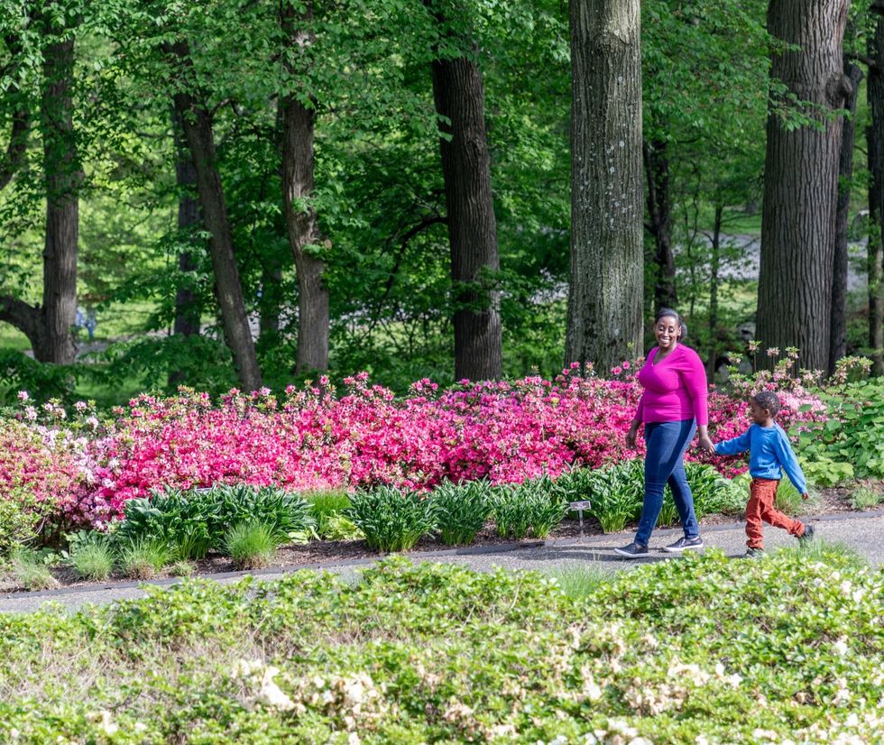 Woman and child walking in New York Botanical Garden with pink flowers and trees.