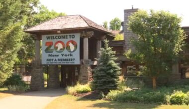 zoo new york