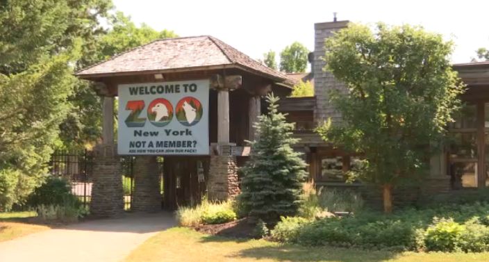zoo new york