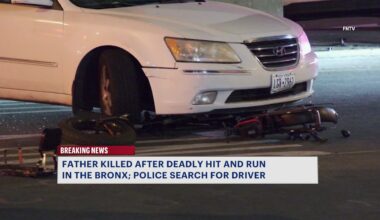 News 12 | Bronx | One Killed Another Injured In Chaotic Hunts Point Crash
