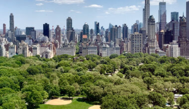 ‘Wall-to-wall’ map of NYC trees could help cool cities worldwide