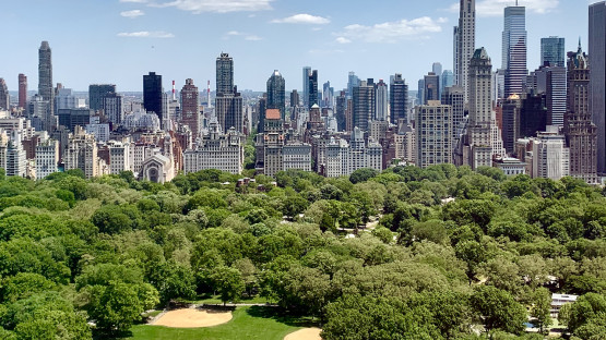 ‘Wall-to-wall’ map of NYC trees could help cool cities worldwide