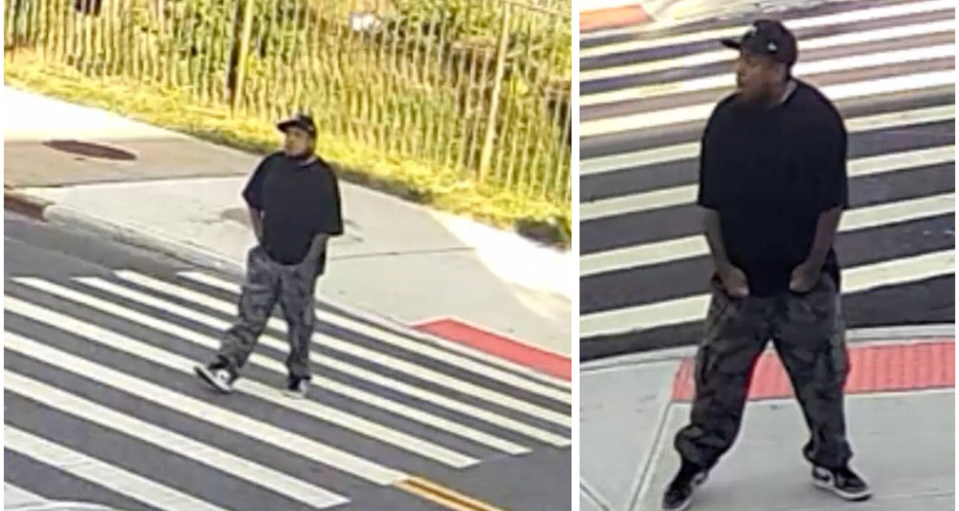 Gunman shoots Labradoodle as owner, 62, walks dog on Brooklyn street