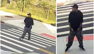 Gunman shoots Labradoodle as owner, 62, walks dog on Brooklyn street