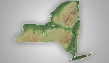 New York 2026-27 hunting and trapping licenses now on sale through DEC