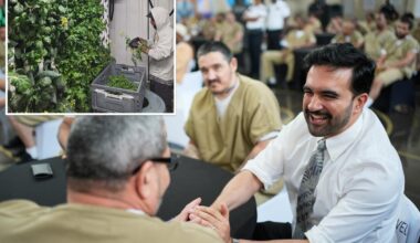 NYC launches program to turn felons into farmers