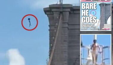 The surprising reason why Brooklyn Bridge nutbag may have survived 'overwhelmingly fatal' plunge