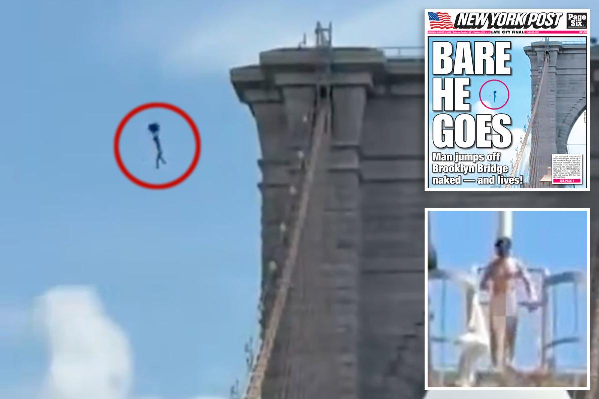 The surprising reason why Brooklyn Bridge nutbag may have survived 'overwhelmingly fatal' plunge