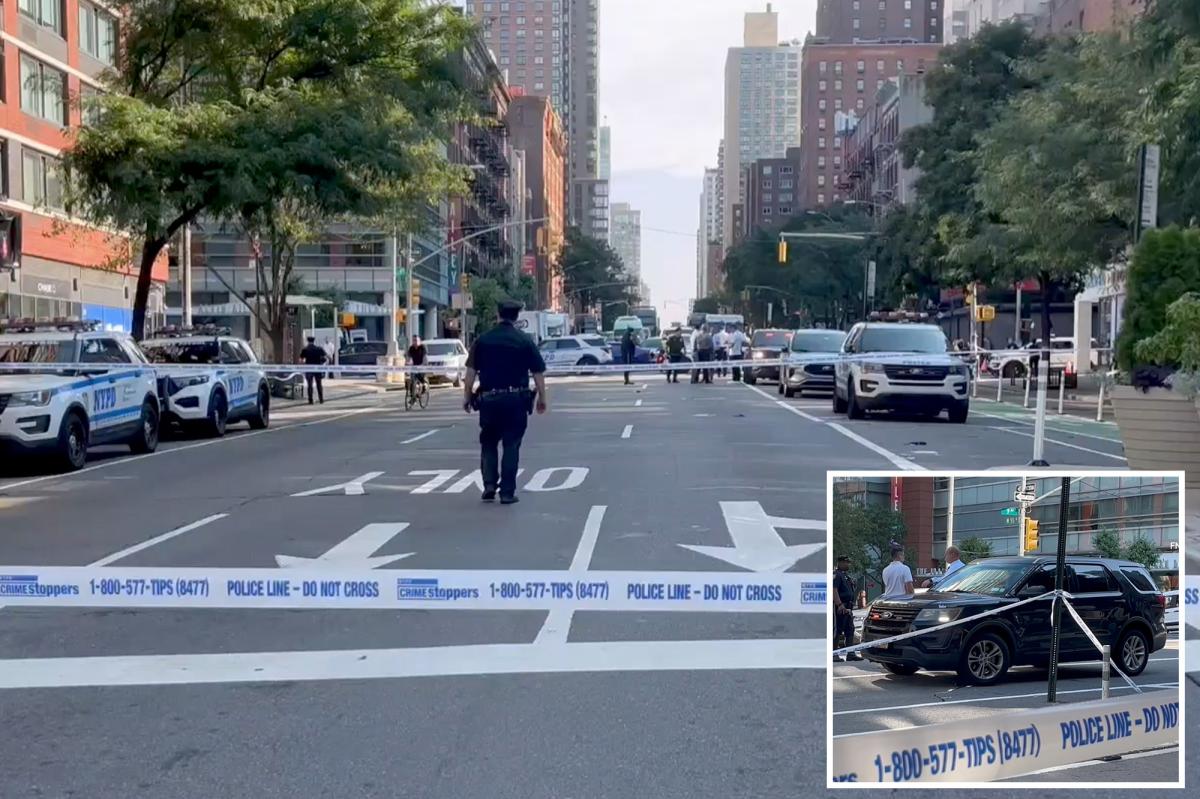 USPS truck fatally strikes man and flees scene: sources
