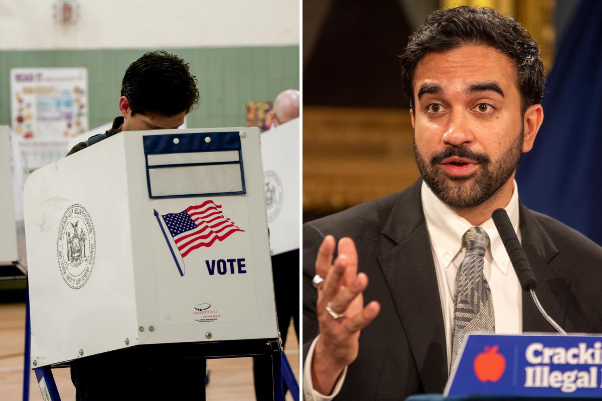 Half of New York voters view DSA unfavorable: Siena poll