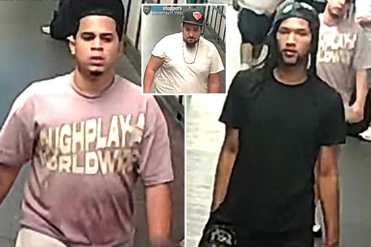 Good Samaritan stabbed on NYC subway platform while trying to stop trio from ganging up on elderly man
