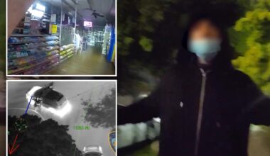 NYPD nabs pill demon after drug store heist
