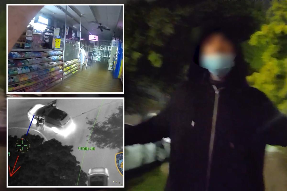 NYPD nabs pill demon after drug store heist