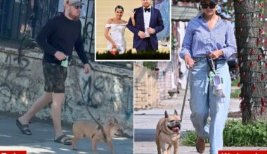 Ex-fiancé Riley Roberts spotted walking AOC's dog outside her Queens apartment