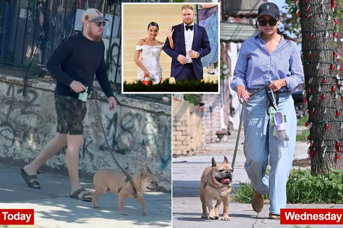 Ex-fiancé Riley Roberts spotted walking AOC's dog outside her Queens apartment