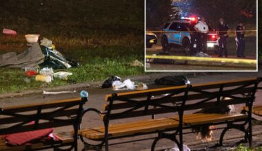 NYC's Lincoln Terrace Park stabbing leaves woman dead