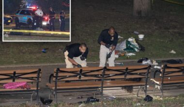 Maniac fatally stabbed 30-year-old woman in NYC park in fit of rage over spurned advances – in front of her son, 7: NYPD
