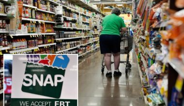 SNAP enrollment drops in US after Trump's work requirement