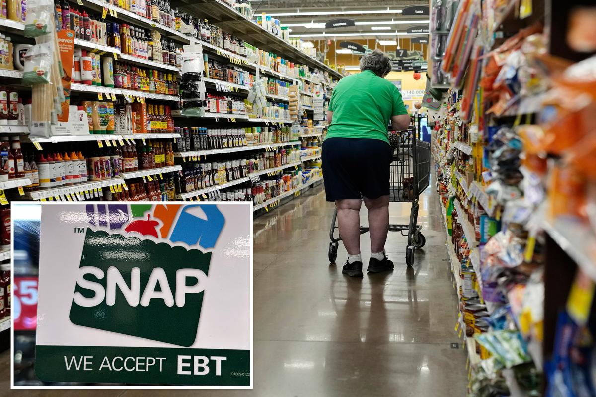 SNAP enrollment drops in US after Trump's work requirement
