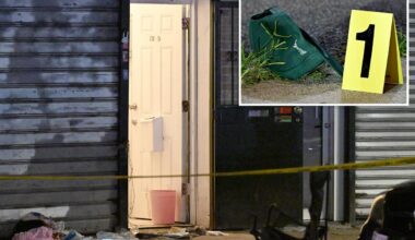 Man, 33, fatally stabbed steps from NYC home – where mom found him bleeding out: cops, sources