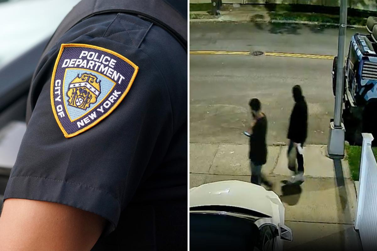 NYPD releases video of suspects in two hate crime attacks on Queens synagogues