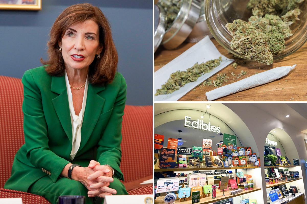 NY legal weed wage board would cause sky-high pot prices, force closures, insiders say