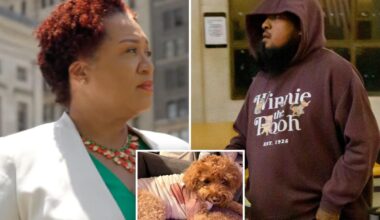 Notorious bail-hating NYC judge releases gunman charged with shooting helpless service dog