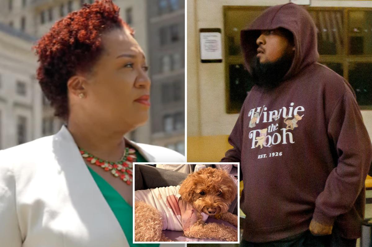 Notorious bail-hating NYC judge releases gunman charged with shooting helpless service dog