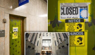 Manhattan Criminal Court cafeteria crawling with mice, roaches