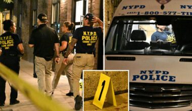 NYC school worker killed, buddy stabbed by maniac with 13 prior busts: sources