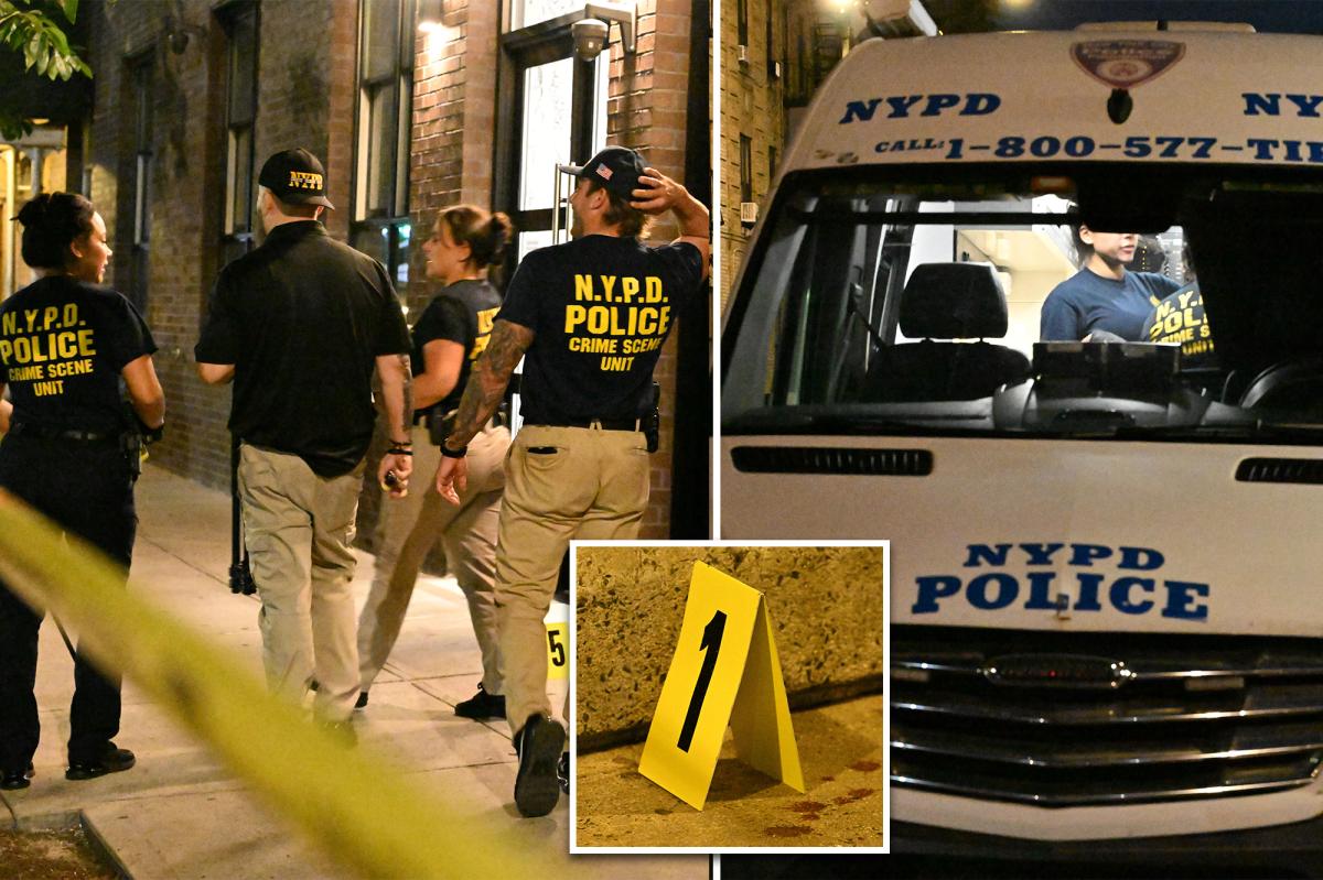 NYC school worker killed, buddy stabbed by maniac with 13 prior busts: sources