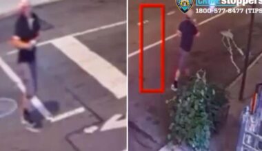 Perverted schlub shoves woman onto NYC sidewalk in horrifying sex attack: cops