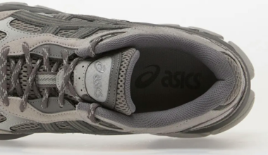 Asics Gel Nimbus 10.1
