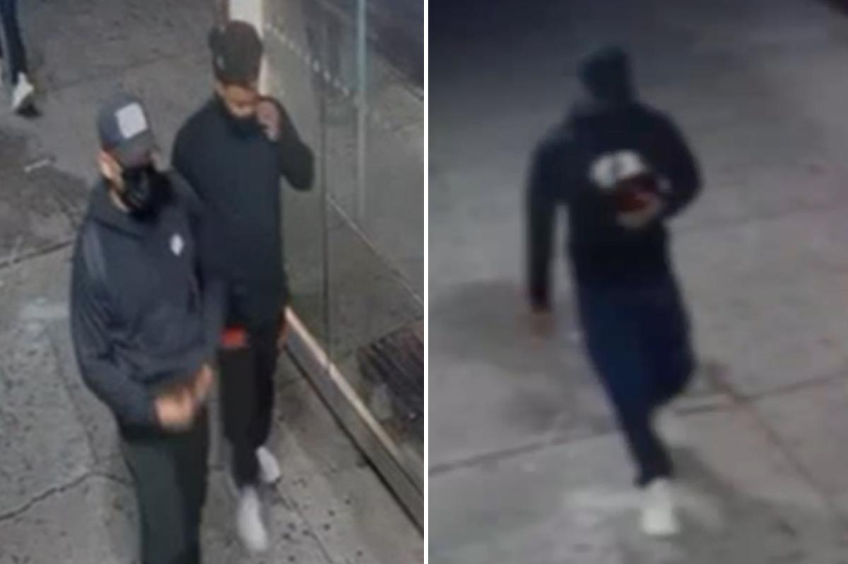 NYC thugs pistol-whip woman before snatching $343,000 in cash and goods from home