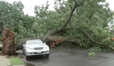 NYC storm damage: Vehicles crushed by trees in Queens as heavy rain moves through Tri-State area