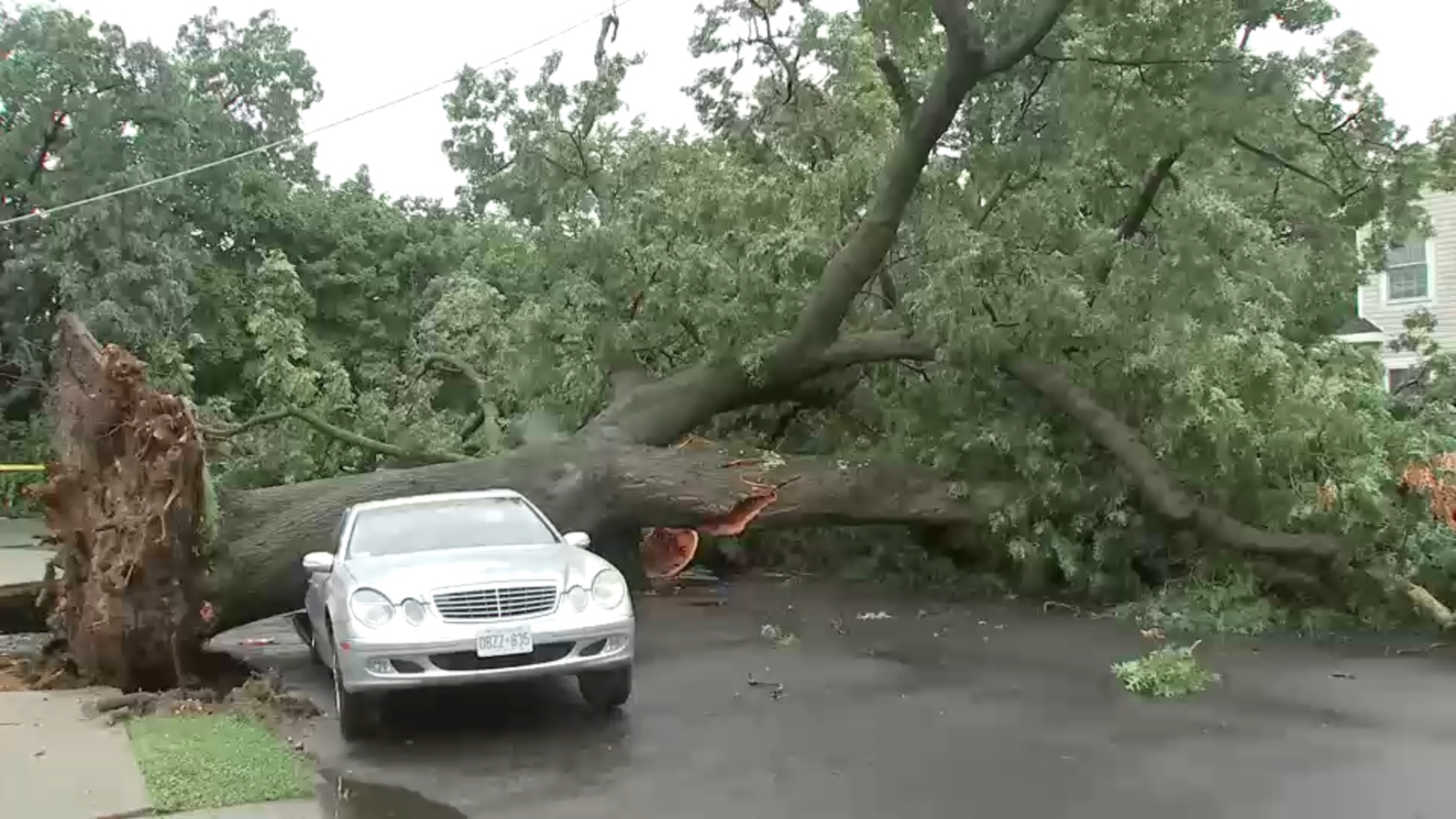 NYC storm damage: Vehicles crushed by trees in Queens as heavy rain moves through Tri-State area