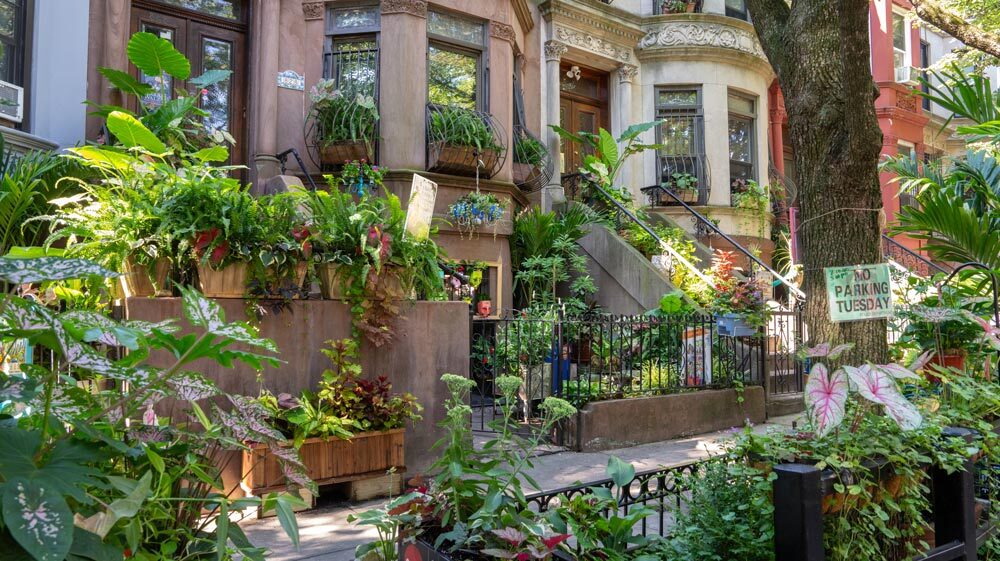 Brooklyn’s Greenest Block for 2026 Revealed