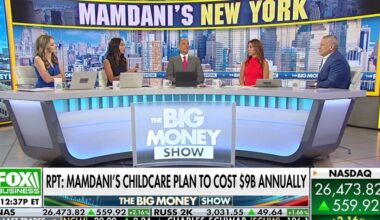 Zohran Mamdani's progressive NYC agenda slammed