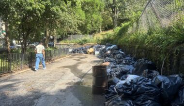 Summer of smell at Sunset Park: City creates de facto dump at Brooklyn greenspace