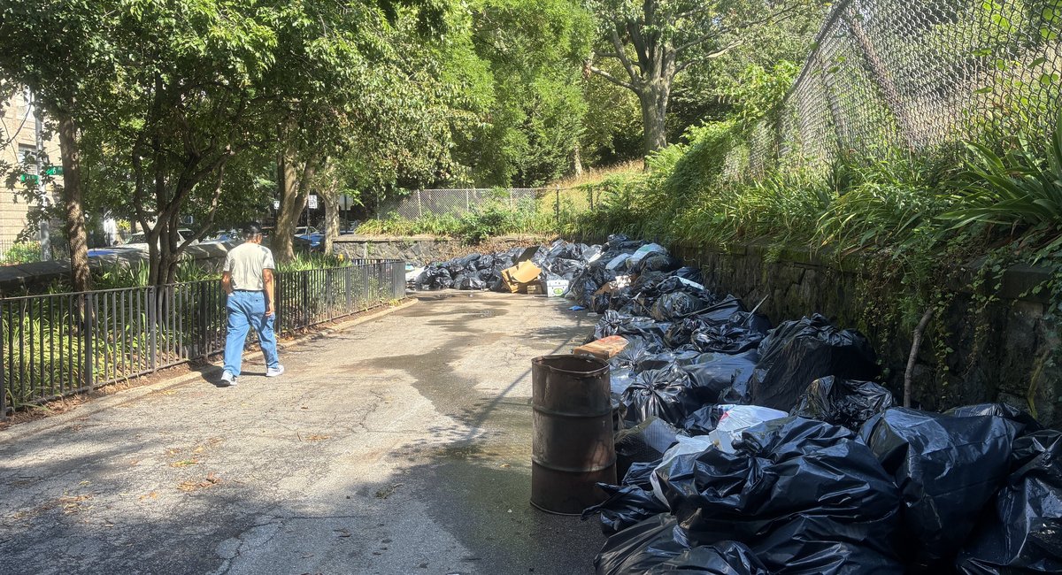 Summer of smell at Sunset Park: City creates de facto dump at Brooklyn greenspace