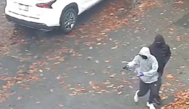 3rd suspect arrested in Bronx gang-related shooting