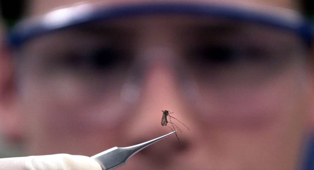 West Nile virus detected in nearly twice as many NYC mosquito pools as last year