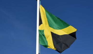 NYC's first Jamaica Day Parade steps off in Brooklyn Saturday